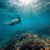 Bali Snorkeling, Turtle Island and Uluwatu Kecak Dance