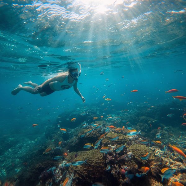 Bali Snorkeling, Turtle Island and Uluwatu Kecak Dance