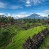 Ubud Kintamani Tour with Tukad Cepung Waterfall